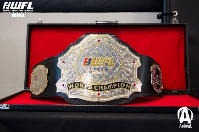 Foto van WFL MMA #4